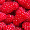 Himbeeren 2 