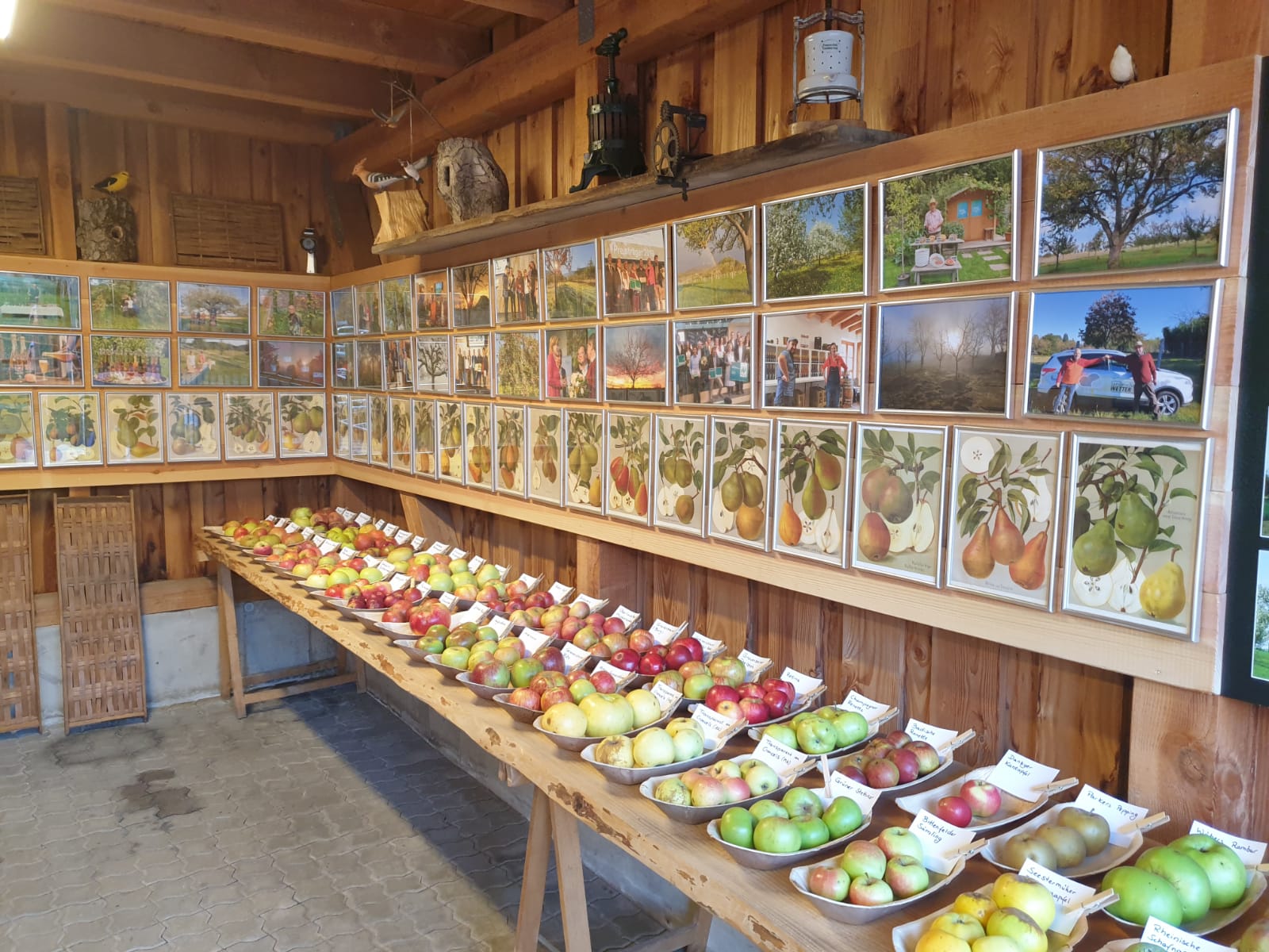 Sortenausstellung im Obstparadies. Über 600 alte Apfel- und Birnensorten werden im Obstparadies erhalten.