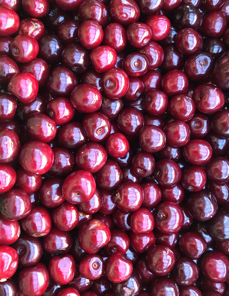 Paradies-Prickler-Kirsche