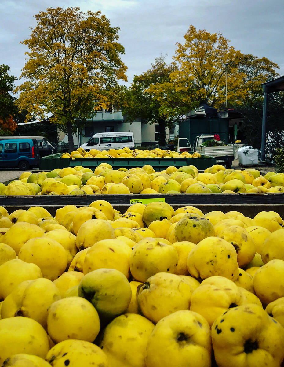 3CDE01A0-2E03-4346-96C8-E305A972156C