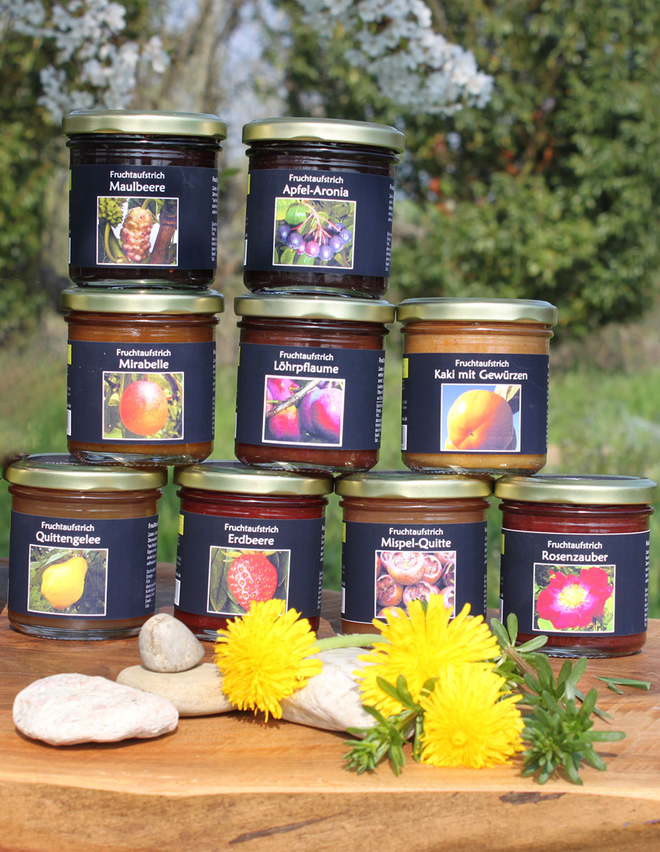 Fruchtaufstrich_IMG_7954