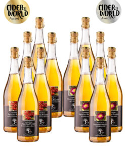 Freisteller-mit-CiderWorld-Award-Probierpaket-groß-Paradies-Prickler-Apfel-Rosenblüte-und-Mostbirne-Eberesche-