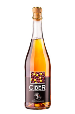 Obstparadies Cider Apfel-Wildpflaume