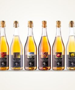 Kennenlernpaket: Paradies-Prickler 5+1